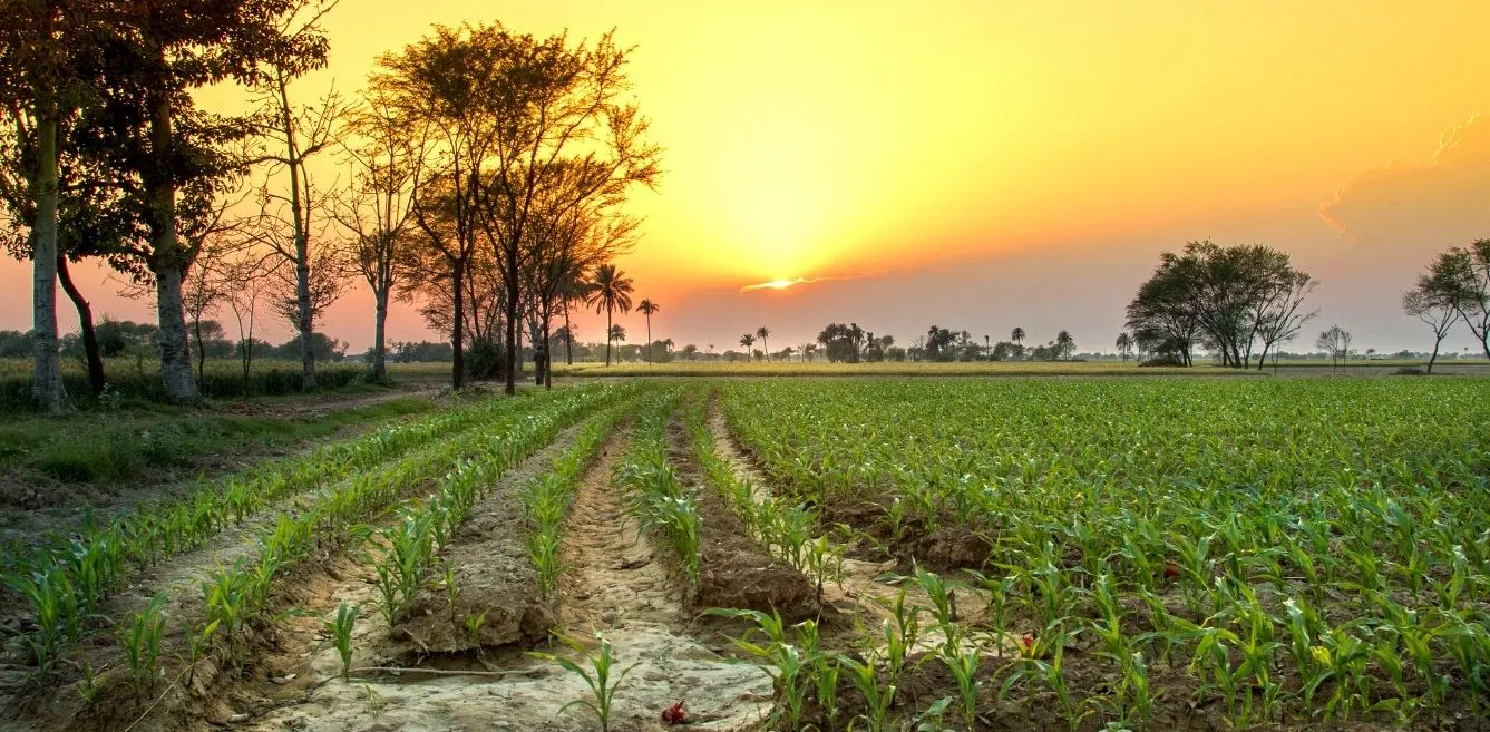 Punjab